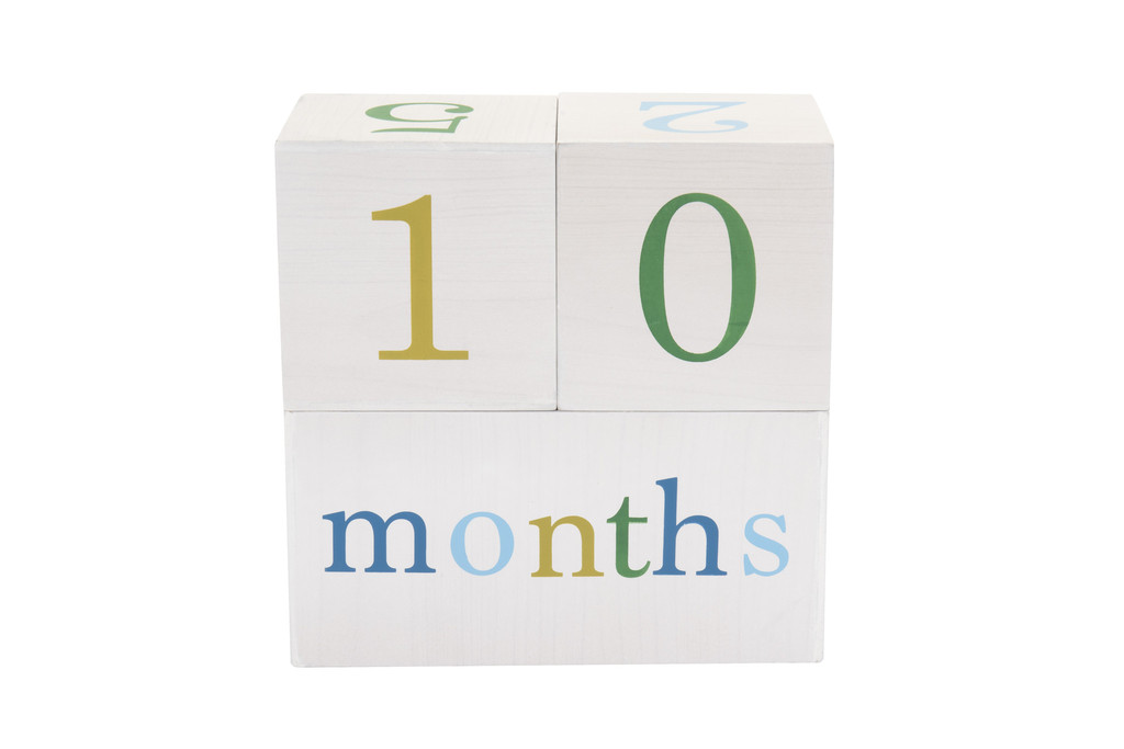 All4Ella-Milestone-Blocks-White-Months-Boy